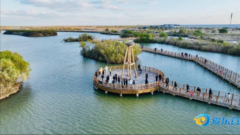 球队一贯的 球队一贯的